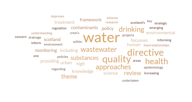 Word Cloud