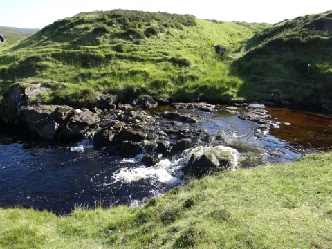 Working with Natural Processes: The Evidence Behind Natural Flood Management Working with Natural Processes: The Evidence Behind Natural Flood Management