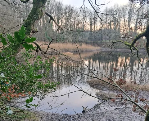 Image of Water of Fleet (Courtesy of I. Fortune) Image of Water of Fleet (Courtesy of I. Fortune)