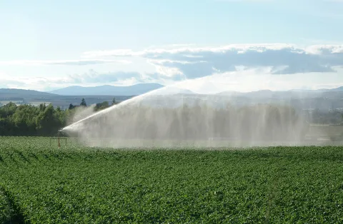 Valuing Your Soils Valuing Your Soils