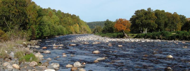 Catchment Management