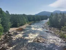 River Dee with a tree line either side. A hill can be seen in the background. Photo credit: Rachel Helliwell