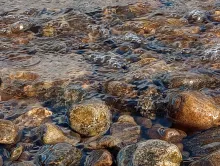 A group of rocks in water  Photograph courtesy of Karin Helwig