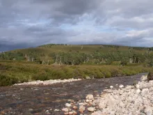 Developing simple indicators to assess the role of soils in determining risks to water quality