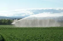 Field irrigation