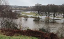 Flooded river onto field - Photo Credit: Andrew Tabas