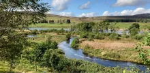 River with trees planted either side. Photo credit: Mark Wilkinson