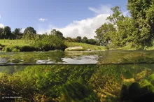 Cover image: The River Leith in Cumbria, England. Part of the River Leith near Penrith was restored in 2014  to its natural meandering course for the benefit of plants, animals and people (© Linda Pitkin/2020VISION).