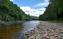 River with pebble bank, and trees on either side