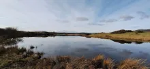 Wetlands open water image