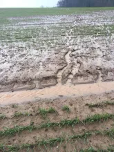 Soil Structure and Field Drainage ; Cover photograph courtesy of: Rebecca Hall, University of Aberdeen