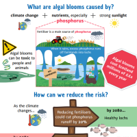 Project Infographic