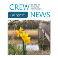 CREW News Spring edition - picture of daffodils by a river and bridge
