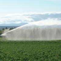 Field being irrigated with mountains in the background - Photo credit: JHI