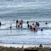 Wild_swimming_at_beach