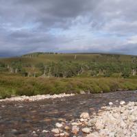 The potential risks to water quality from diffuse pollution driven by future land use and climate change