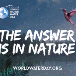 World Water Day - 22 March