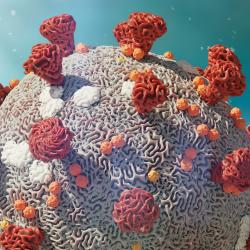 Image of covid virus