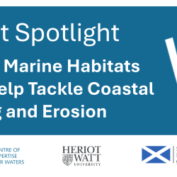 Project spotlight Scottish Marine Habitats Could Help Tackle Coastal Flooding and Erosion with CREW, Heriot Watt and Scottish Government logos