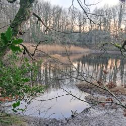 Image of Water of Fleet (Courtesy of I. Fortune)
