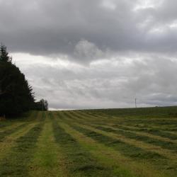 Valuing your soils