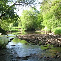 Launch of the CREW IUCN River Restoration and Biodiversity report