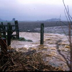 Swollen river with sediment. Photograph courtesy of Nikki Baggaley