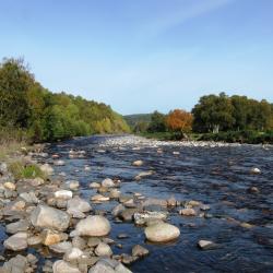 Innovations in aquatic monitoring
