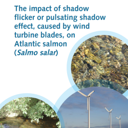 Image: Wind turbine next to water; Cover photographs courtesy of: Jennifer Dodd (Edinburgh Napier University) and Marine Scotland  Science.