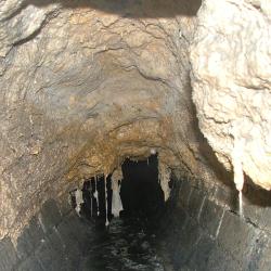 Fats, Oils and Greases; Cover photograph courtesy of: Severn Trent Water