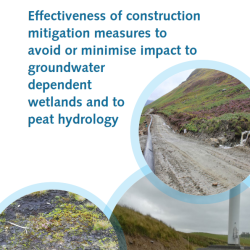 Construction mitigation measures wetlands and peat Cover photographs courtesy of: Abertay University