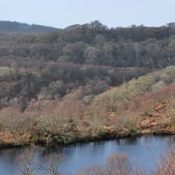 Water quality and radon: Implications for Scotland of the provisions and scope of the Council Directive 2013/51/Euratom for radon in drinking water