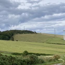 Forest_landscape_windturbine_photograph_courtesy_JGeris