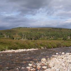 Developing simple indicators to assess the role of soils in determining risks to water quality
