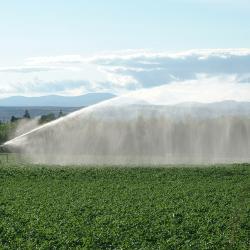 A review of the arguments relating to bulk export of water