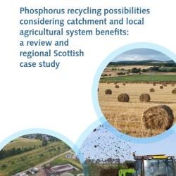 P Flows Report_Front Cover Cover photographs courtesy of: https://stock.adobe.com/uk/