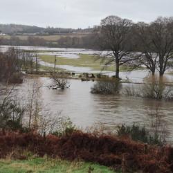 Flooded river onto field - Photo Credit: Andrew Tabas