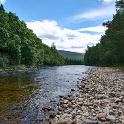River with pebble bank, and trees on either side