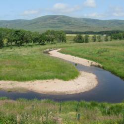raph courtesy of: Stephen Addy (the Rottal Burn, Angus, Scotland in July 2013 after re-meandering was completed in August 2012)
