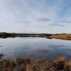 Wetlands open water image