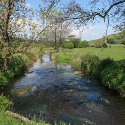 Approaches to the implementation of an ecosystems approach