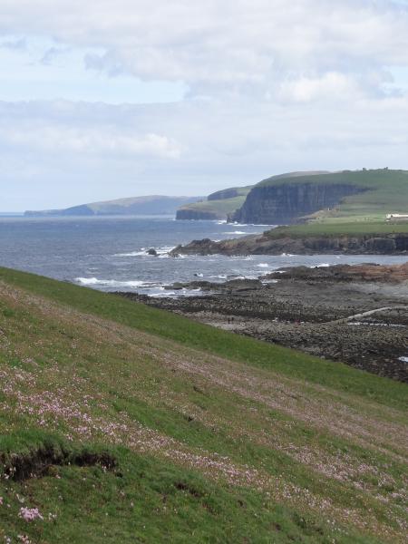 Orkney Coastline