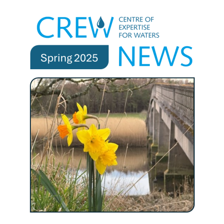 CREW News Spring edition CREW News Spring edition - picture of daffodils by a river and bridge
