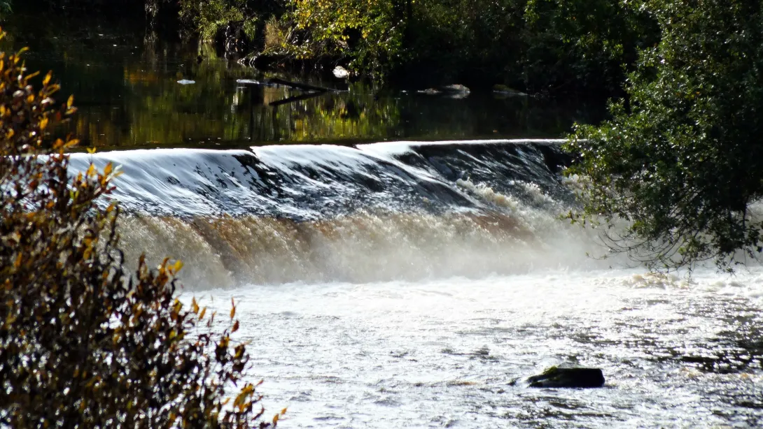 Natural flood management (NFM) knowledge system: The effect of NFM features on the desynchronising of flood peaks at a catchment scale