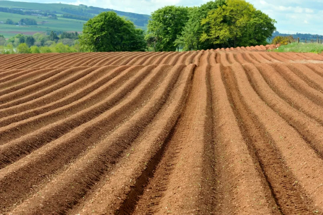 Cover photograph by David Riley © The James Hutton Institute