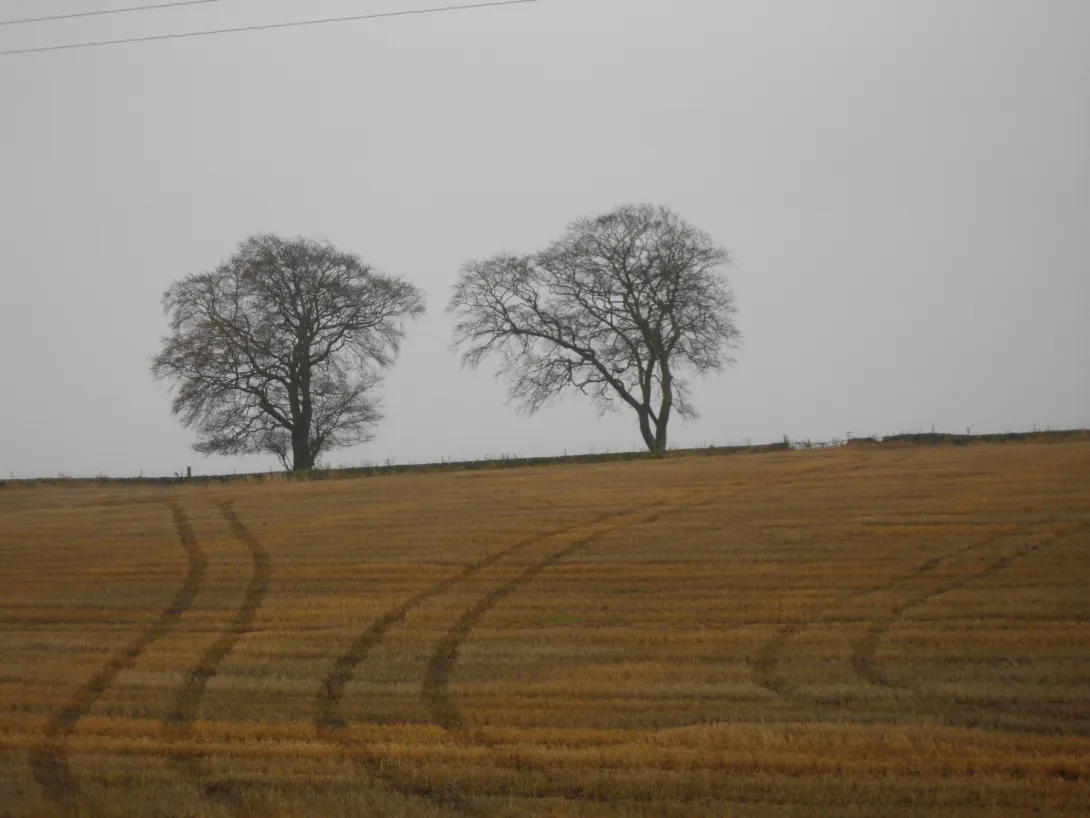 Valuing your soils