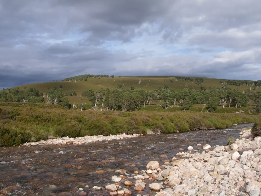 The Scottish Rivers Handbook