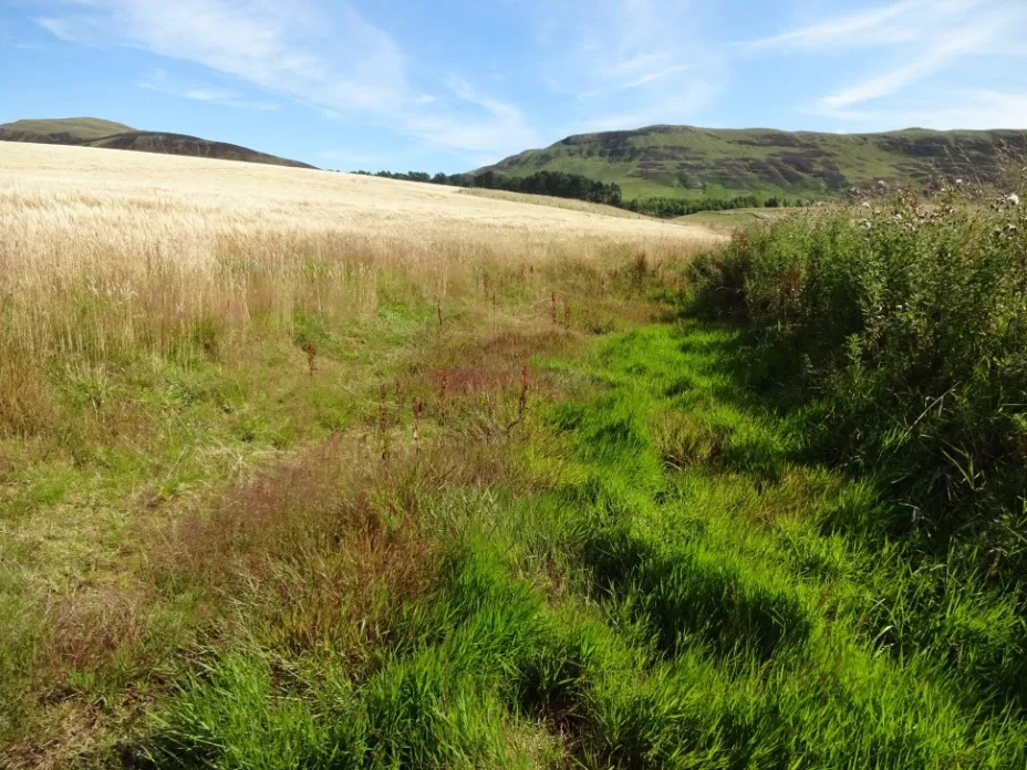 Rural cultivation; Cover photographs courtesy of: Alison Duffy, UWTC, Abertay University and Stewart Moir, Moir  Environmental Ltd.